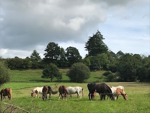 Val de Vire Equitation à Condé-sur-Vire