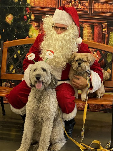 Pet Supply Store «Pet Supplies Plus», reviews and photos, 9430 W 159th St, Orland Park, IL 60467, USA