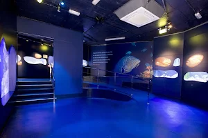 CIMAR-Centro de Interpretacion del Mar-Aquarium image