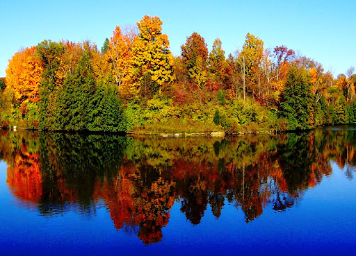 Golf Course «Sharon Woods Golf Course», reviews and photos, 11355 Swing Rd, Cincinnati, OH 45241, USA