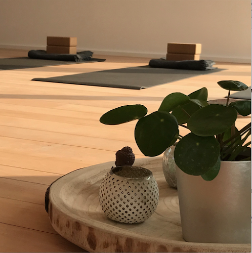 Beoordelingen van YOGALA in Leuven - Yoga studio