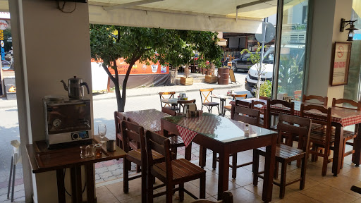 Ayşe Ana Zeytinyağlı Ev Yemekleri