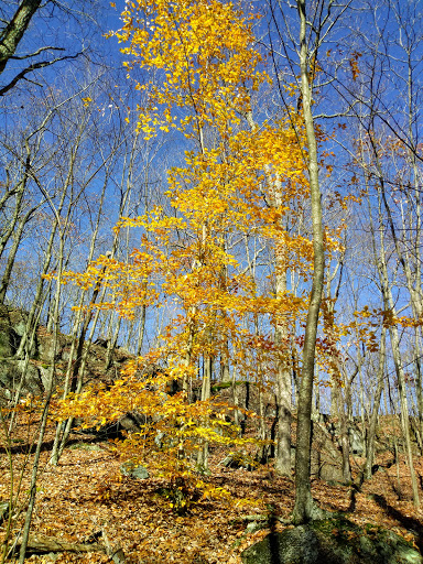 Nature Preserve «Macricostas Preserve», reviews and photos, 121 Christian St, New Preston, CT 06777, USA