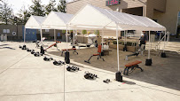 Active Wellness Center - Photo 5 - Car repair in Petaluma, CA, Santa Rosa