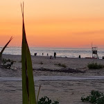 Photo n°9 de l'avis de Gianluca.i fait le 20/03/2024 à 11:30 sur le  Kiosco à Pesaro