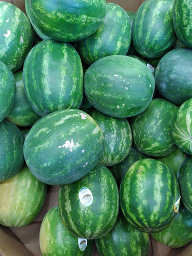 Supermarket «ALDI», reviews and photos, 903 Riverdale St, West Springfield, MA 01089, USA