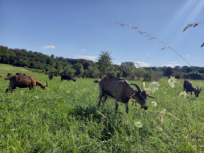 Ferme d'Uzelle à Uzelle