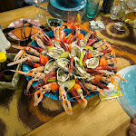 Photo n°1 de l'avis de Stefano.r fait le 22/04/2024 à 11:06 sur le  Hotel Danubio à Lido di Jesolo