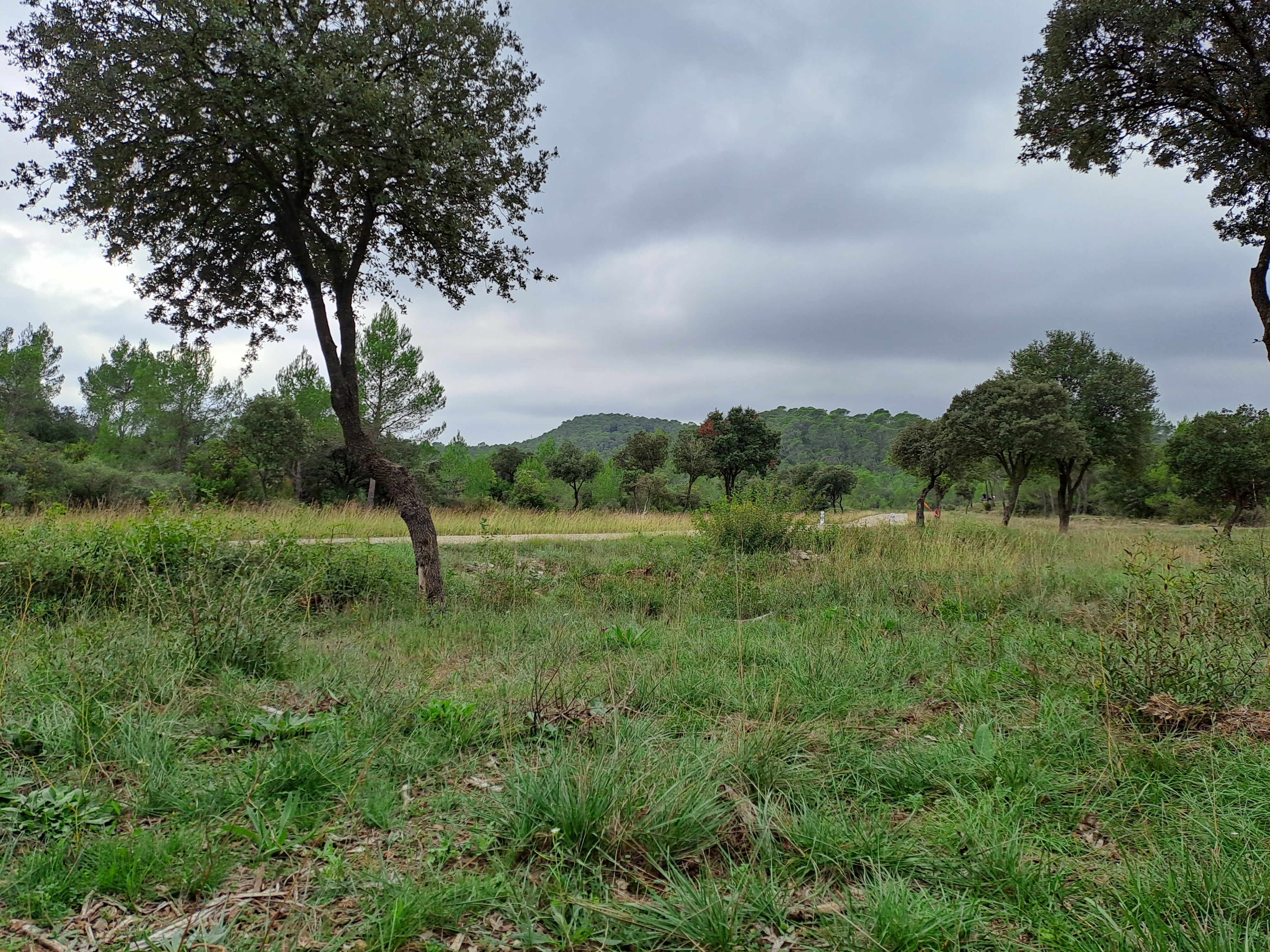 Photo n° 16 de l'avis de Tanguy.a fait le 30/10/2022 à 23:40