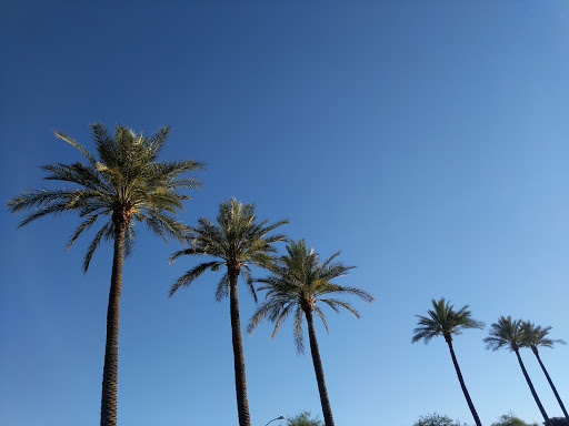 Golf Club «Coyote Lakes Golf Club», reviews and photos, 18800 N Coyote Lakes Pkwy, Surprise, AZ 85374, USA