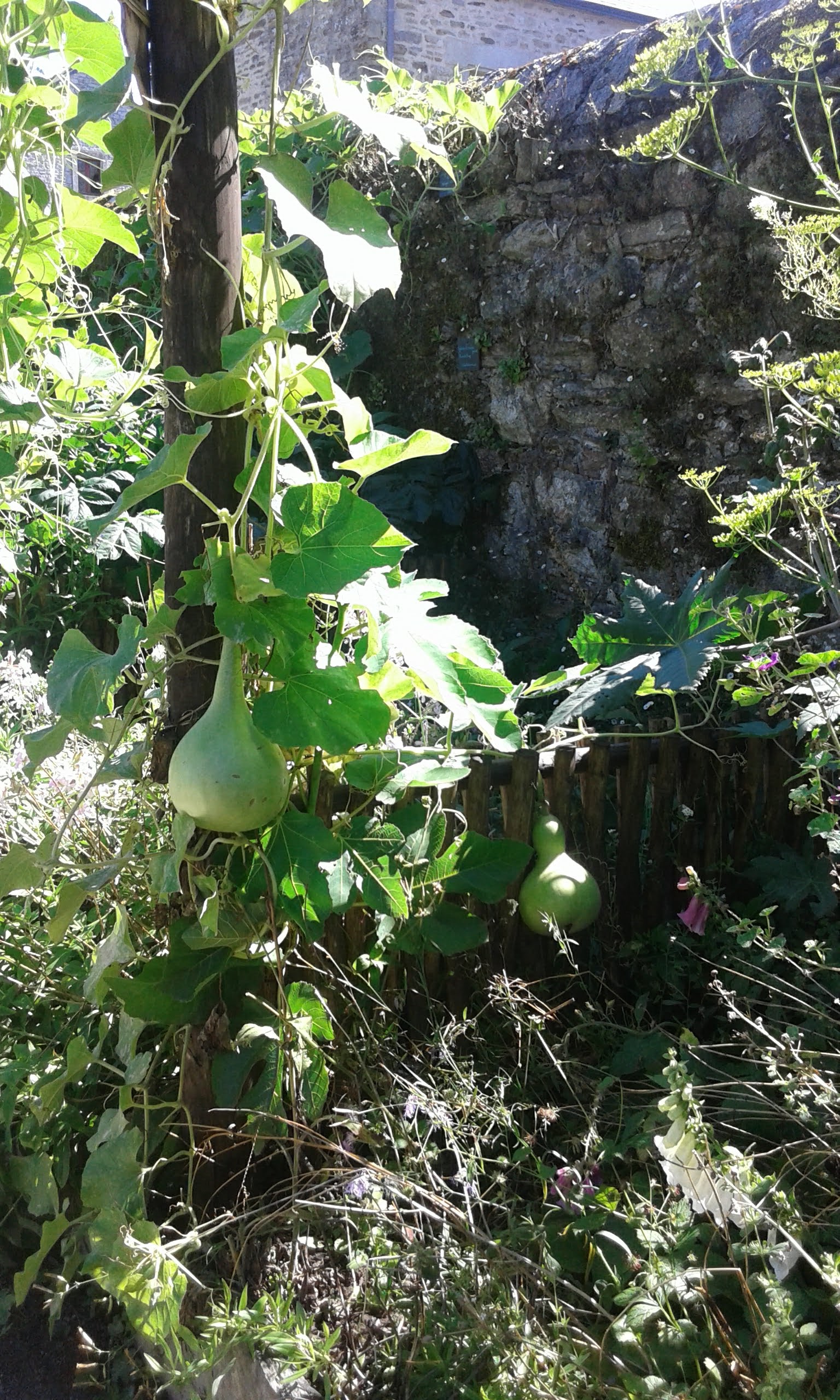 Photo n° 6 de l'avis de Bertrand.I fait le 04/07/2019 à 11:08