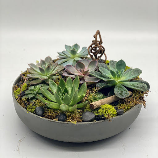 Florist «Urban Floral», reviews and photos, 671 Meriden Rd, Waterbury, CT 06705, USA