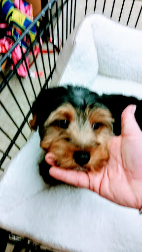 Pet Supply Store «Petco Animal Supplies», reviews and photos, 525 S 5th St, Bismarck, ND 58504, USA