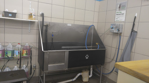 Pet Supply Store «Pet Supplies Plus», reviews and photos, 1407 Lincoln Hwy, Levittown, PA 19056, USA