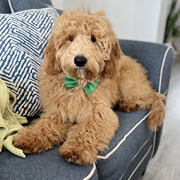 My Hazel's Place - Photo 2 - Car repair in , Hialeah