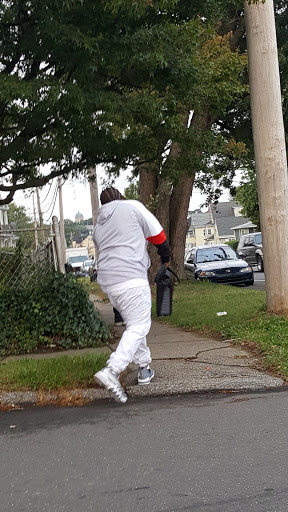 Florist «Dillon & Son Florists», reviews and photos, 180 Boston Ave, Stratford, CT 06614, USA