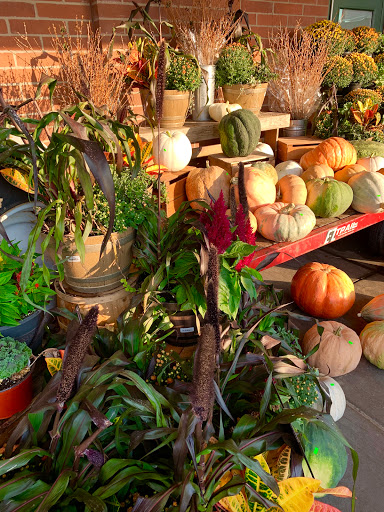 Grocery Store «Market District Supermarket», reviews and photos, 155 Town Center Dr, Wexford, PA 15090, USA