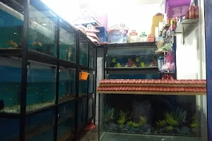Water World Aquarium and pet's image
