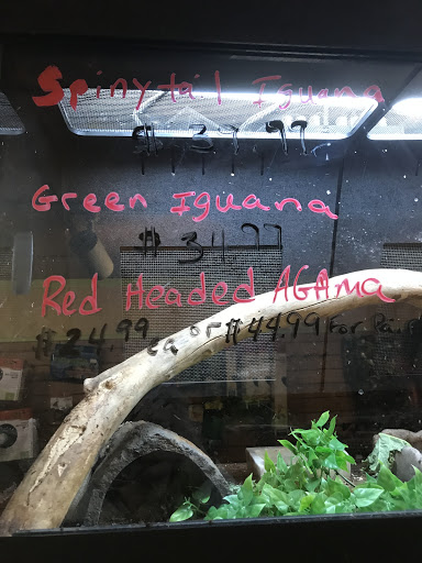 Pet Supply Store «Pet City», reviews and photos, 185 Lafayette Rd, Seabrook, NH 03874, USA