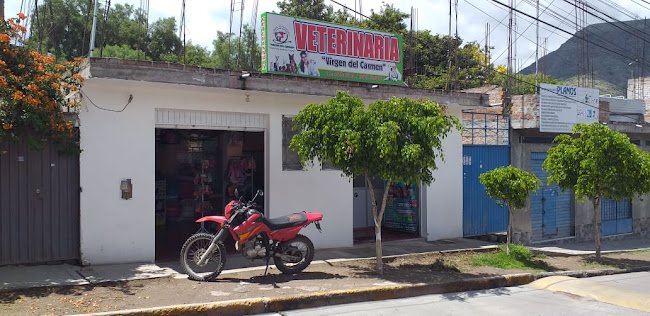 Opiniones de Veterinaria Virgen del Carmen en Ayacucho - Veterinario