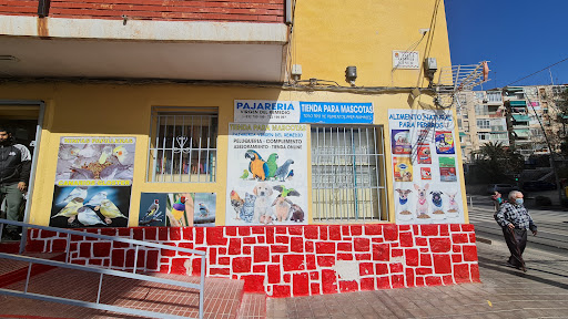 Pajareria Virgen del Remedio - Alicante