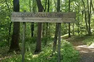 Gollub Park image