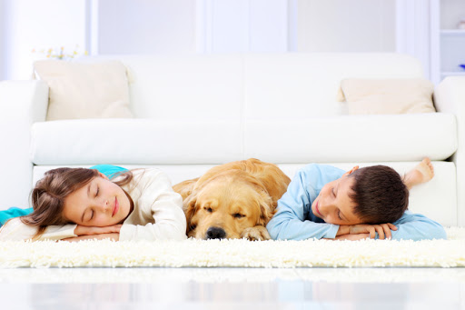 Carpet cleaning Toronto