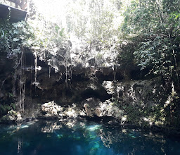 Manta Dive & Snorkel Cancun photo