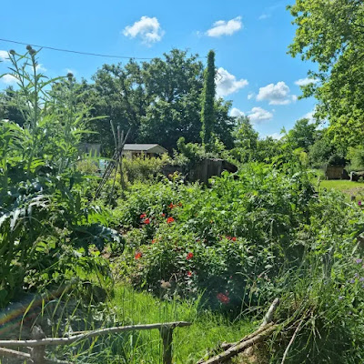 La ferme du nouveau monde à Abbaretz