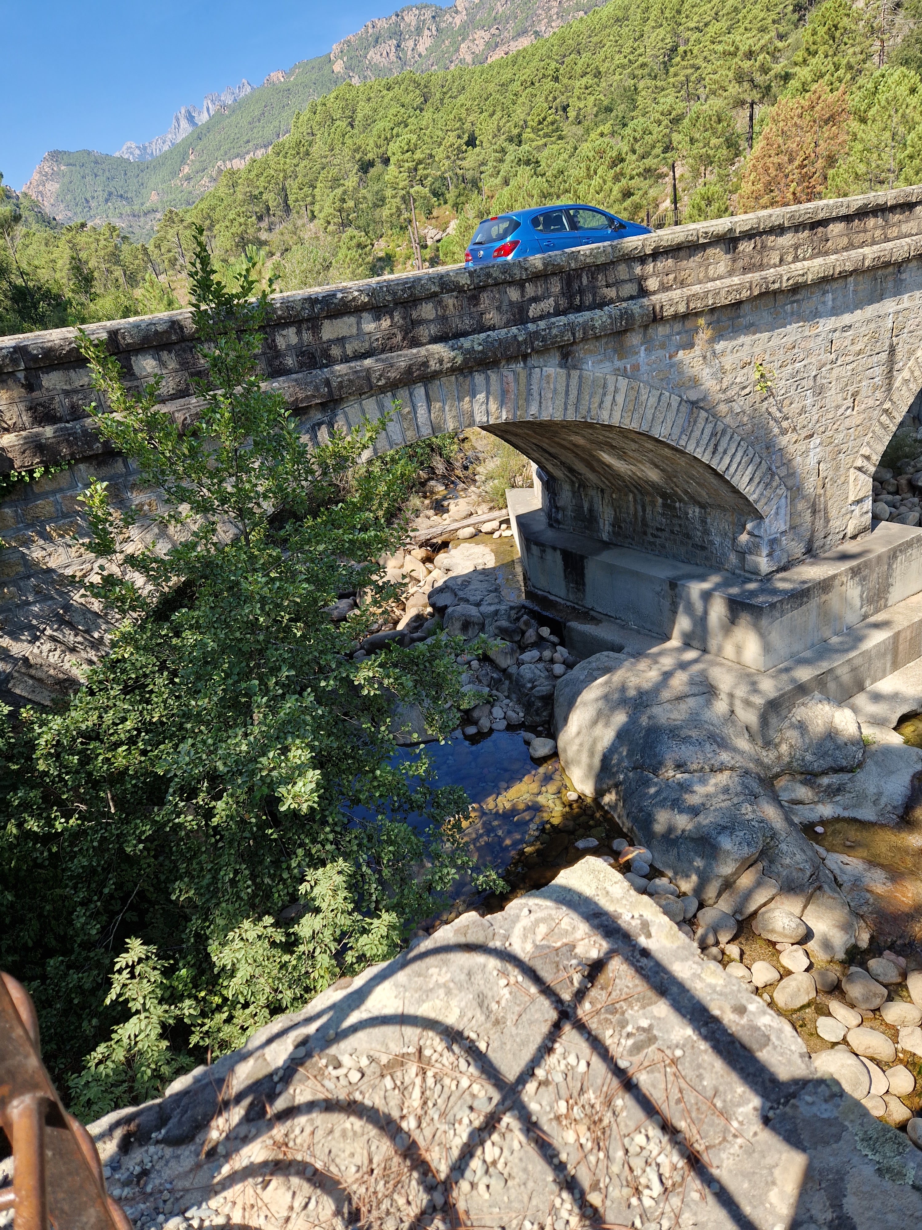 Photo n° 1 de l'avis de Véronique.e fait le 23/08/2023 à 11:24