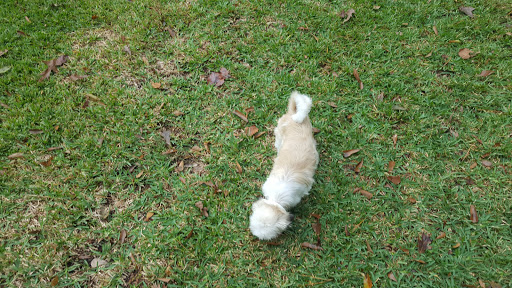 Pet Supply Store «Petco Animal Supplies», reviews and photos, 1410 N Loop 336 W, Conroe, TX 77304, USA