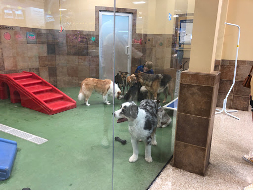 Pet Supply Store «PetSmart», reviews and photos, 12971 Fair Lakes Pkwy, Fairfax, VA 22033, USA