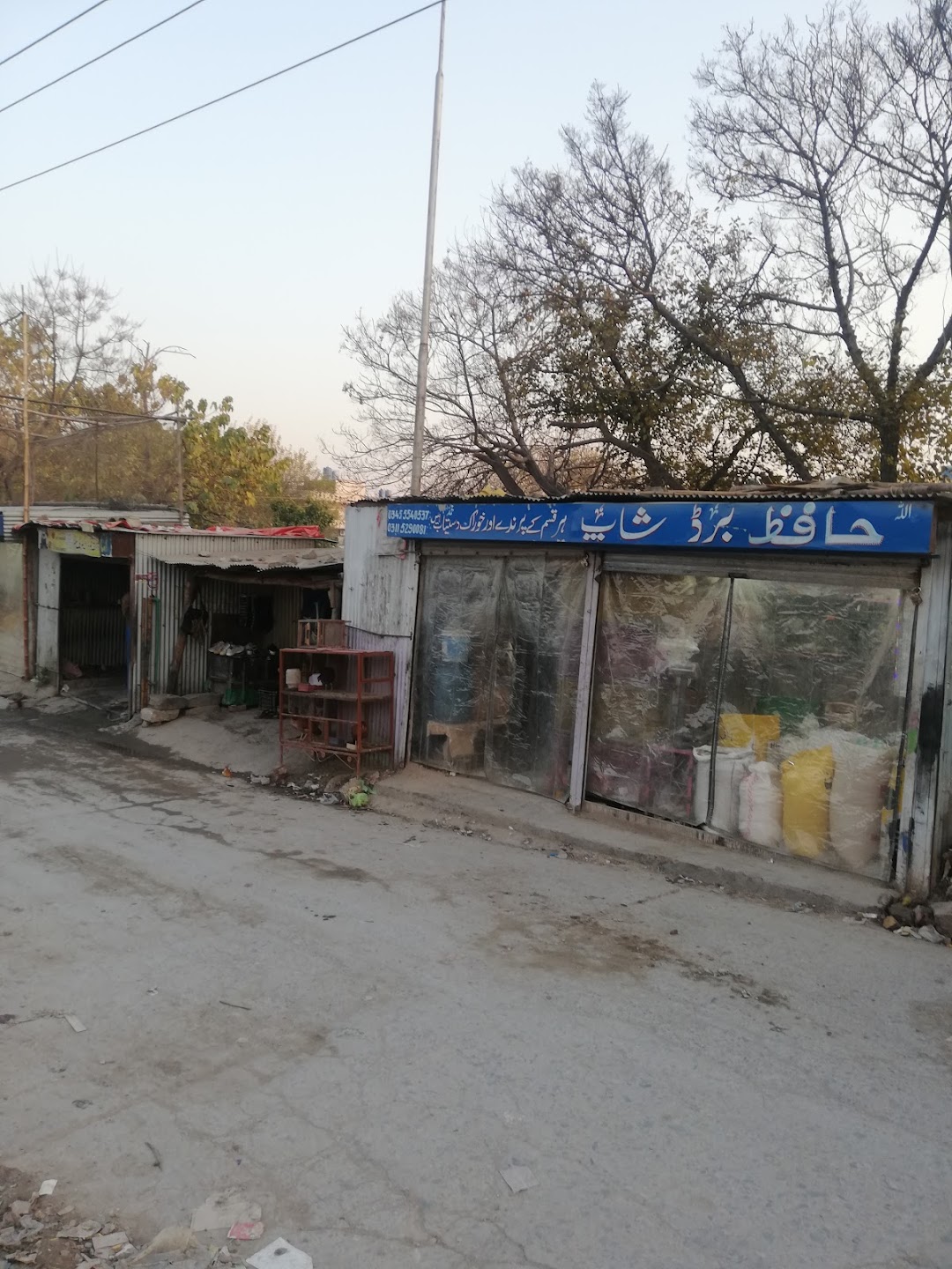 Hafiz Bird Shop