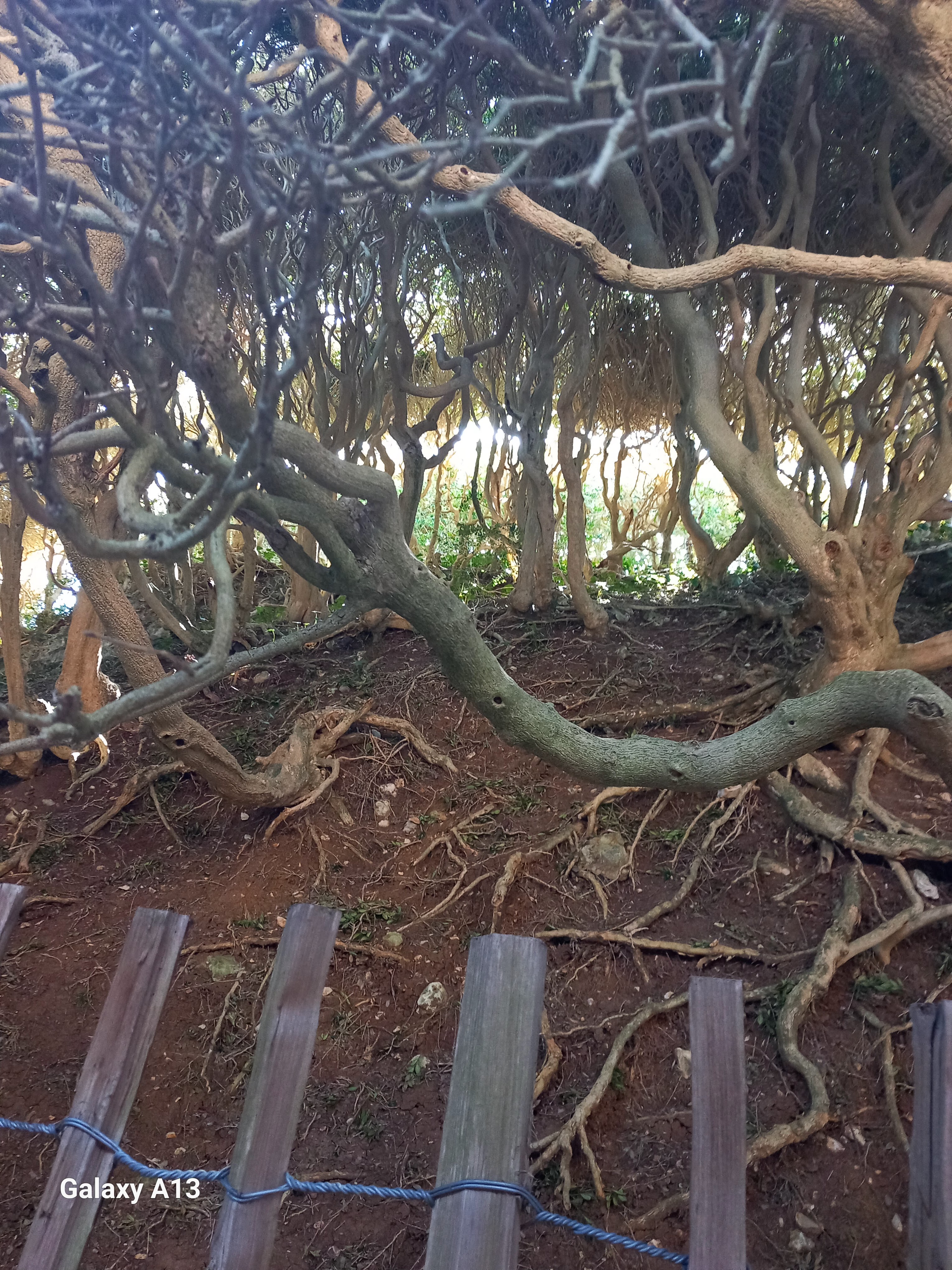 Photo n° 15 de l'avis de valerie.a fait le 16/04/2023 à 11:12