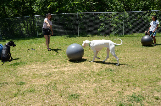 Dog Trainer «Mad 4 My Dog», reviews and photos, 702 E Temperance St, Ellettsville, IN 47429, USA