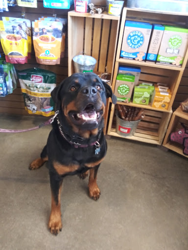 Pet Supply Store «The Naked Dog (Protein For Pets)», reviews and photos, 7385 Milliken Ave #120, Rancho Cucamonga, CA 91730, USA