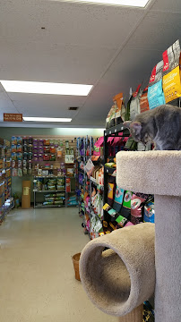 Central Dawgma & The Dawg Wash - Photo 6 - Car repair in Hagerstown, MD, Hagerstown