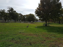 Galley Motor Works - Photo 5 - Car repair in New Bedford, MA, New Bedford