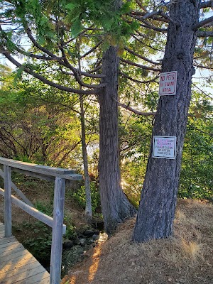 Orchard Springs Resort - photo 20