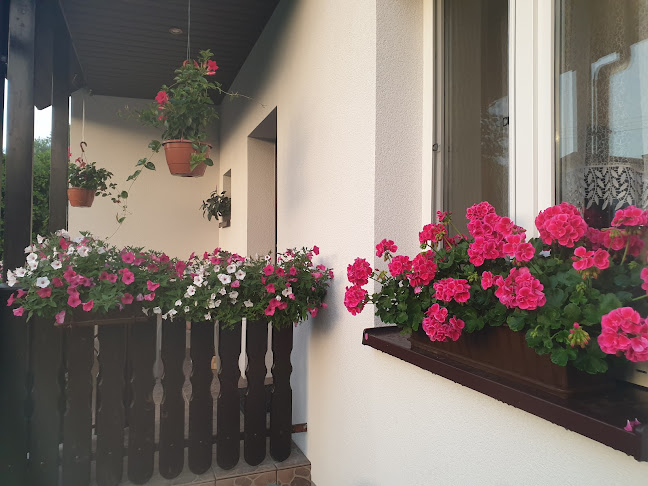 Bankowa 56, 32-087 Zielonki