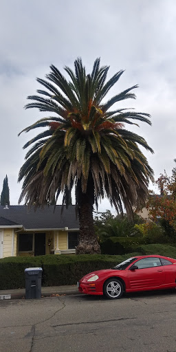 Car Dealer «Momentum Auto Group», reviews and photos, 2575 Auto Mall Pkwy, Fairfield, CA 94533, USA