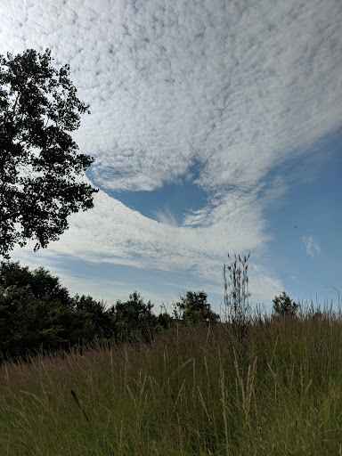 Park «North Mississippi Regional Park», reviews and photos, 4900 Mississippi Ct, Minneapolis, MN 55430, USA