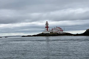 Downeast Charter Boat Tours image