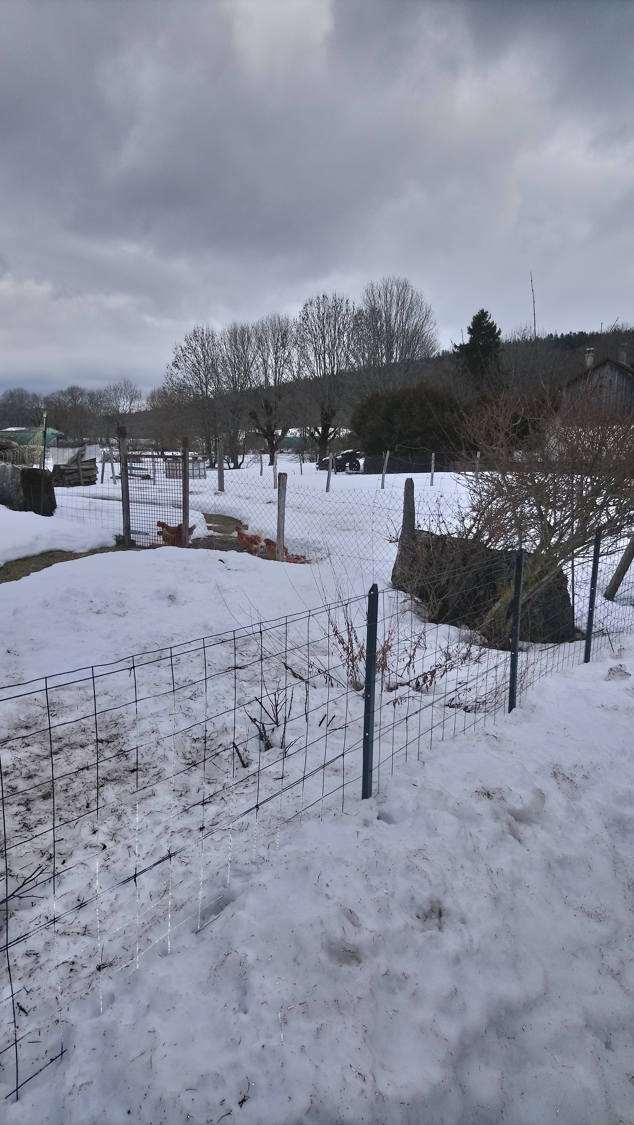 Photo n° 2 de l'avis de Marie-Jean.h fait le 02/06/2019 à 15:49