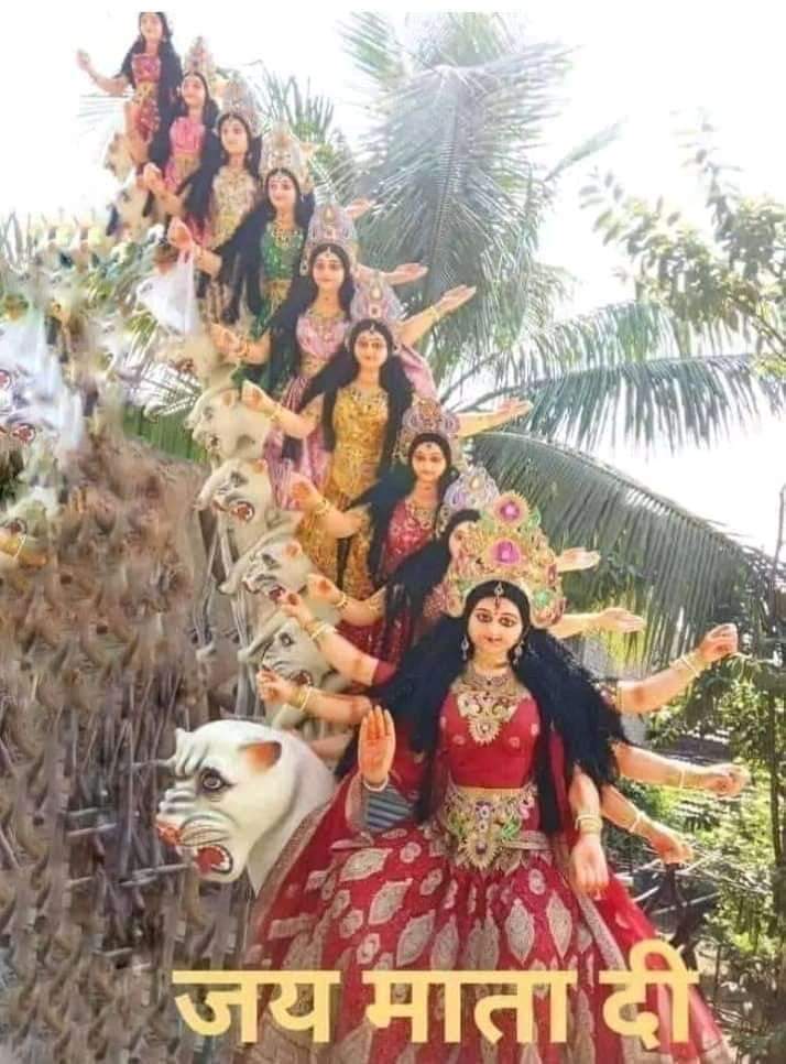आयुष राज एंड अनिल राजा