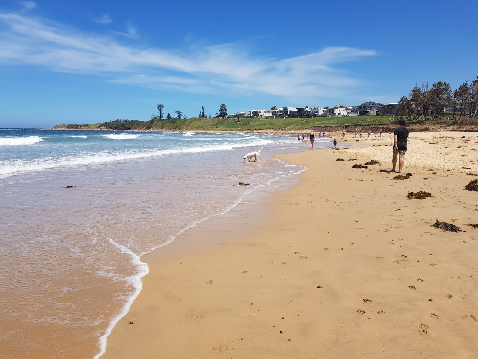 Photo de McCauley's Beach avec un niveau de propreté de très propre