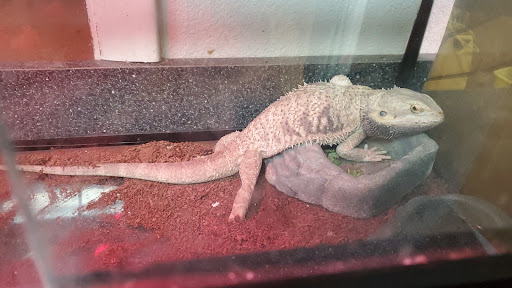 Pet Store «Cody PET DEPOT», reviews and photos, 556 Yellowstone Ave, Cody, WY 82414, USA