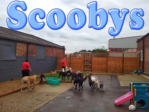 Scoobys Doggy Day Care, Swim Centre & Dog Wash