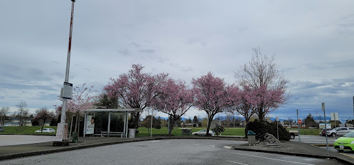 Ladner Exchange Park And Ride
