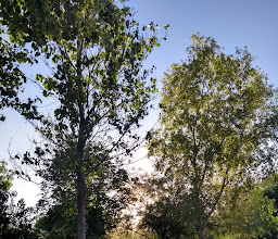 Plaza del Pescador photo